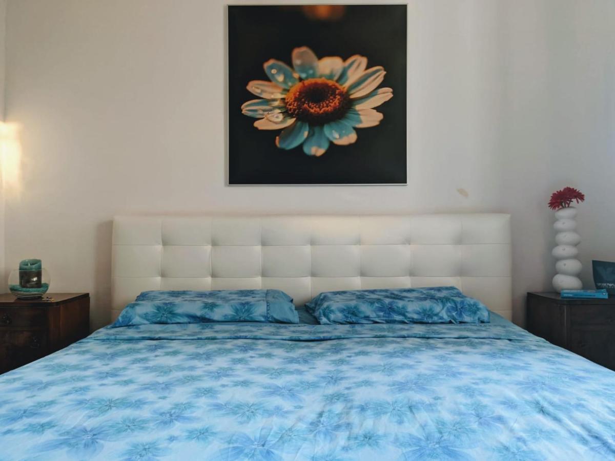 שיבניק Glorianita Sweethome,Centro, Free Parking,Self Check- In מראה חיצוני תמונה