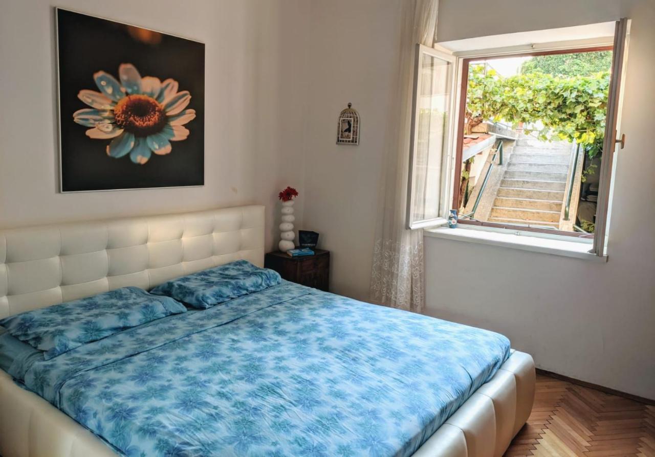 שיבניק Glorianita Sweethome,Centro, Free Parking,Self Check- In מראה חיצוני תמונה