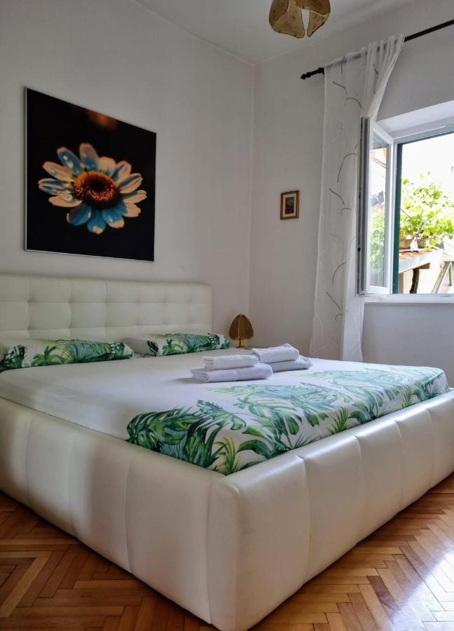 שיבניק Glorianita Sweethome,Centro, Free Parking,Self Check- In מראה חיצוני תמונה